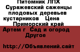 Питомник ЛПХ Суражевский саженцы плодовых деревьев, кустарников › Цена ­ 800 - Приморский край, Артем г. Сад и огород » Другое   